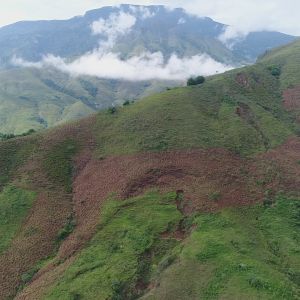 Recomposição da Serra da Bocaina: Tamoios planta cerca de 10 mil árvores para proteção das nascentes da região