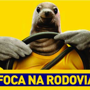 Concessionária Tamoios participa do Movimento Maio Amarelo com a campanha Foca no Trânsito