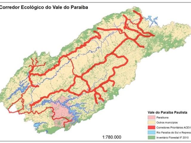 Concessionária Tamoios e Corredor Ecológico firmam parceria para a Restauração de Florestas Nativas no Vale do Paraíba
