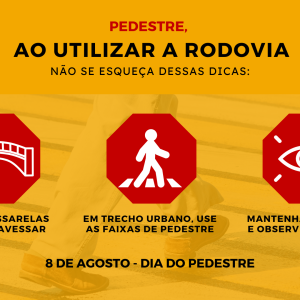 Dia Nacional do Pedestre: Concessionária Tamoios reforça algumas dicas de segurança viária!